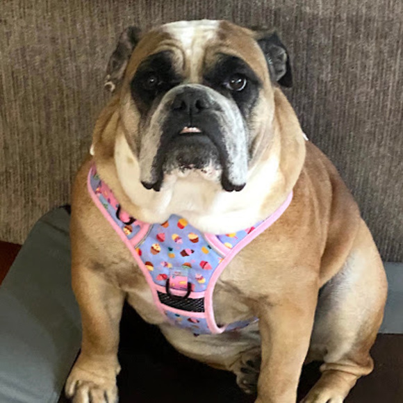 Meet your Posher, Kevin - Picture 1 of 1